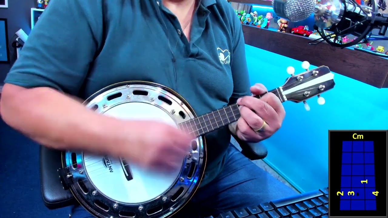 Por Querer, Sem Querer – Zeca Pagodinho - Cavaquinho - Banjo