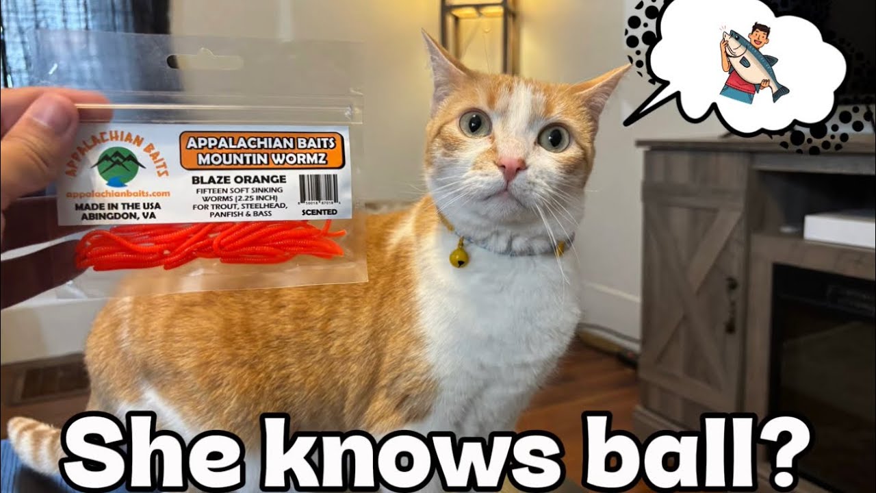 MY CAT CHOOSES MY BAIT!! 😎🐱(TROPHY TROUT FISHING)