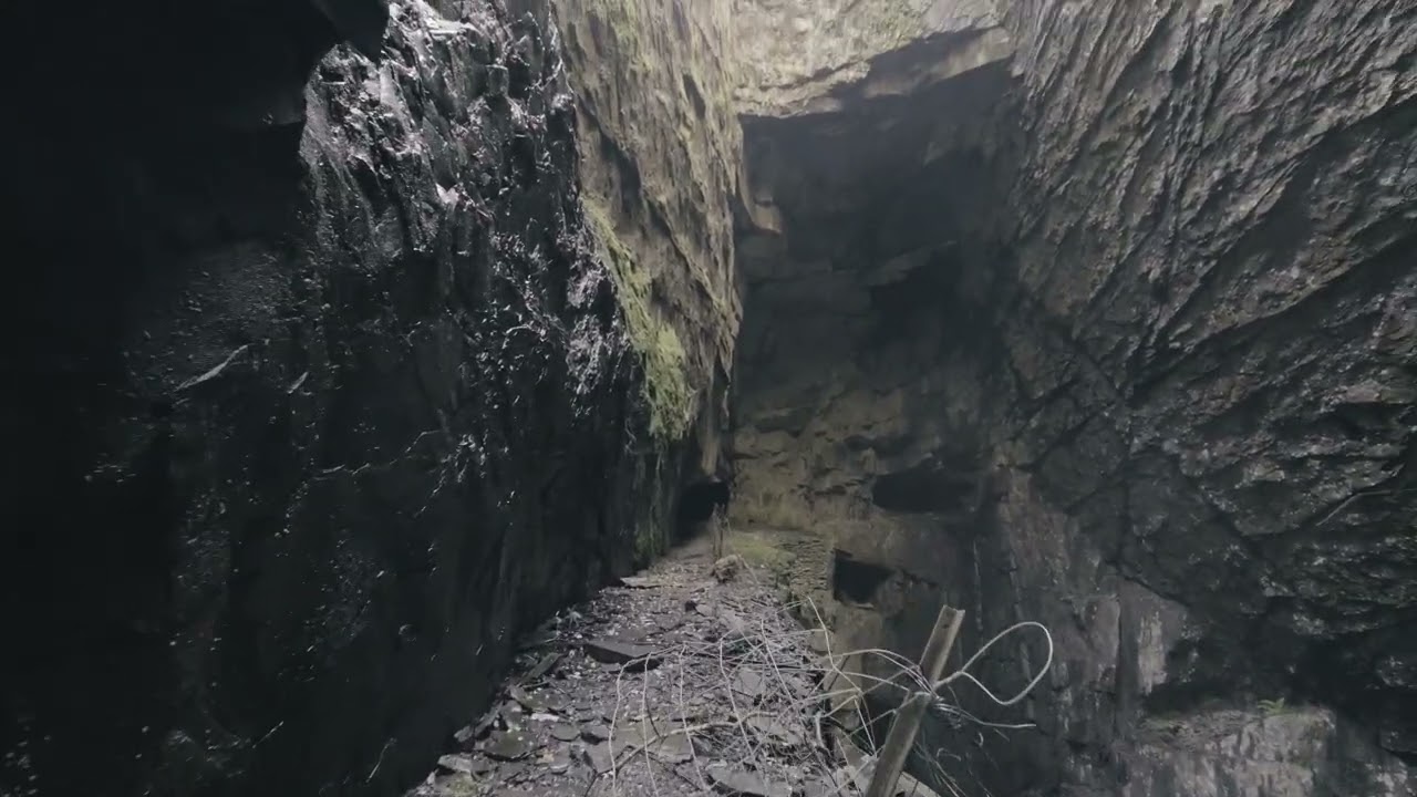 The ladder