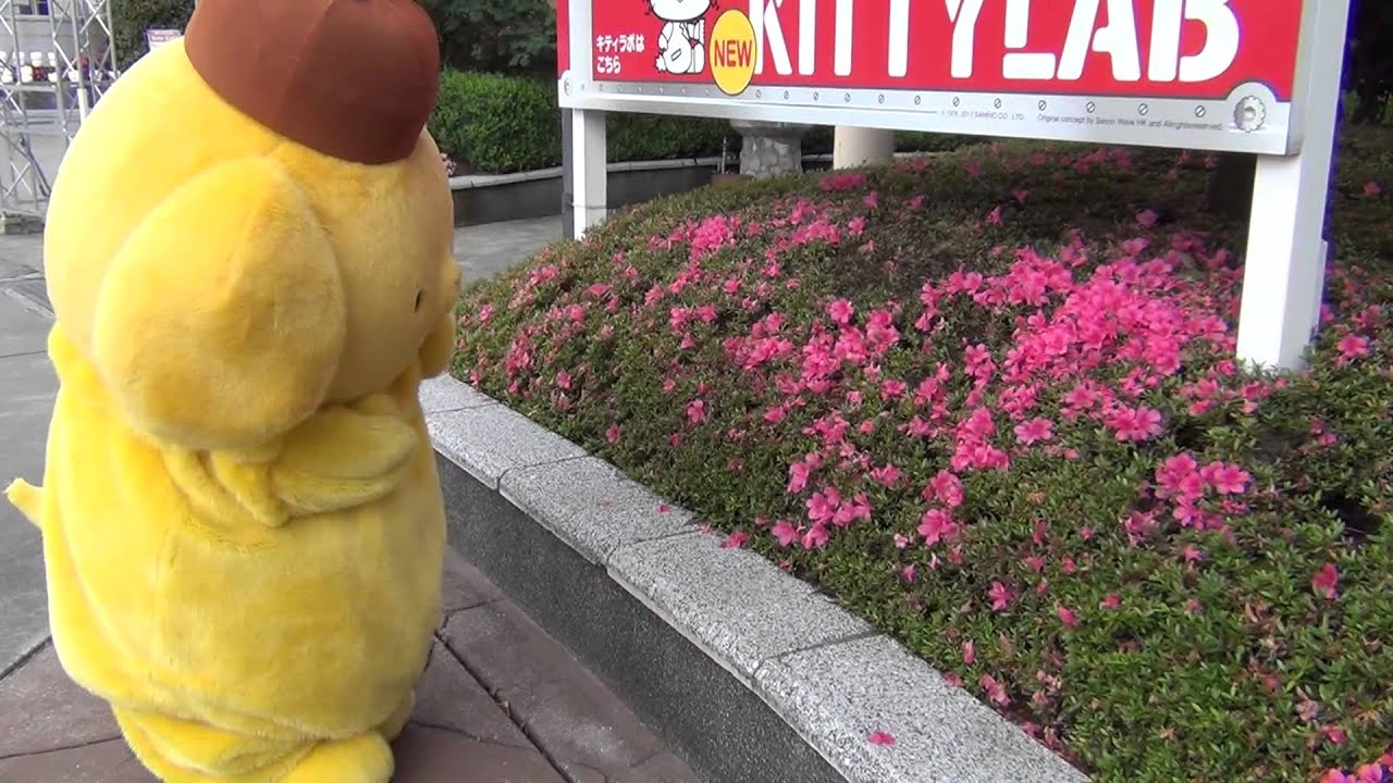 ポムポムプリン グリーティング(ハーモニーランド)2013.06.19