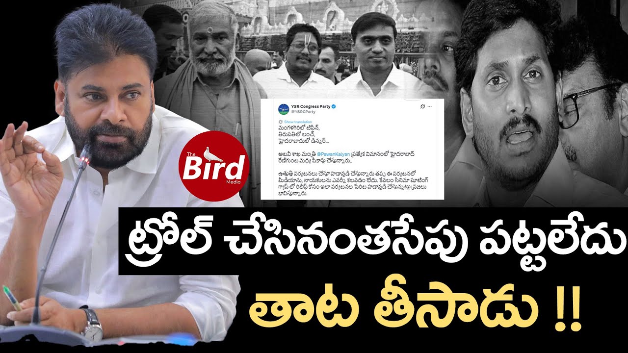 ట్రోల్ చేసినంతసేపు పట్టలేదు.. తాట తీసాడు !! | YSRCP Party Troll Tweet On Pawan Kalyan | Bird Media |