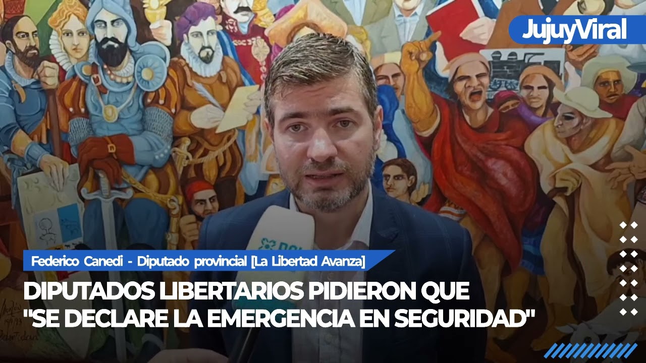 Diputados libertarios pidieron que 