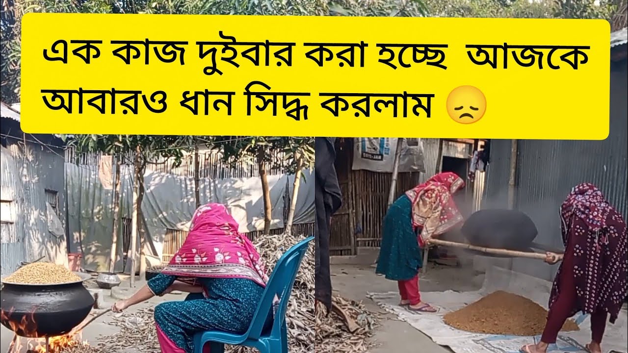 এক কাজ দুইবার করা হচ্ছে  আজকেআবারও ধান সিদ্ধ করলাম 😞