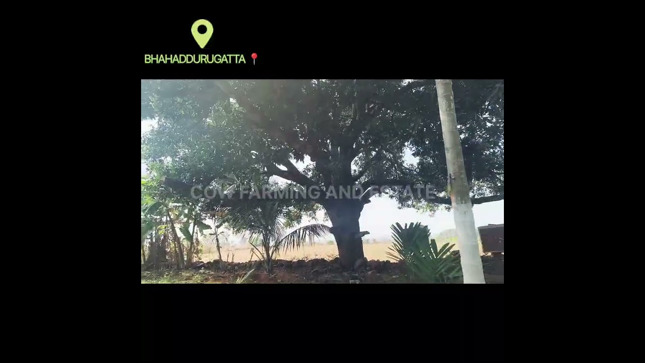 #trendingvideo #viralvideo #farming #socialmediatips #newvideo #viratkohli