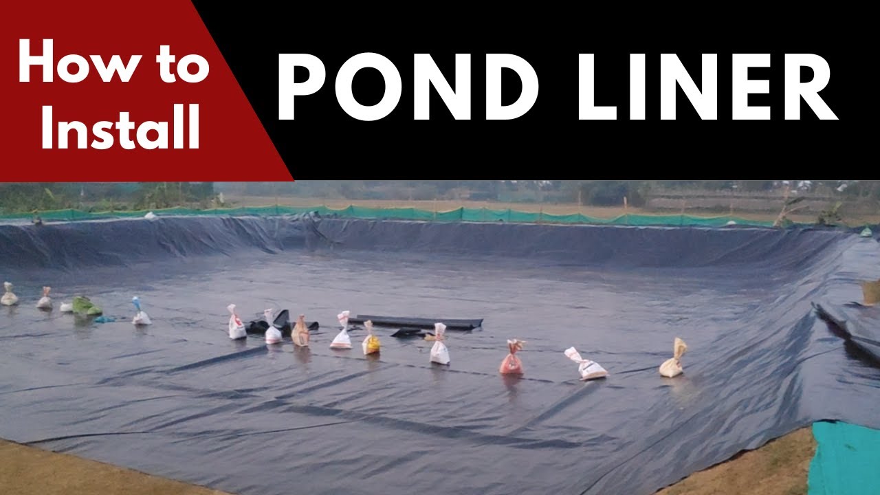 How to Install Pond Liner - A Step By Step Detailed Guidelines