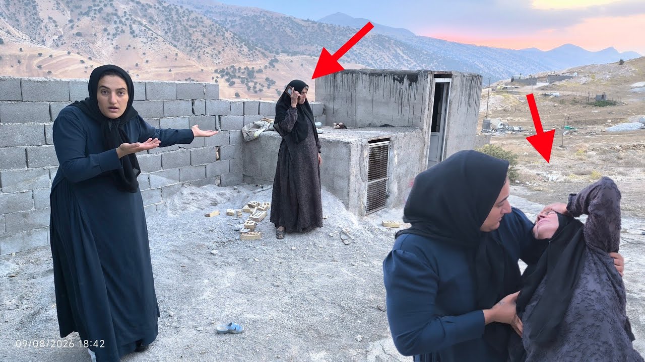 Grandma's suspicious call and her sudden illness next to Mrs. Narges