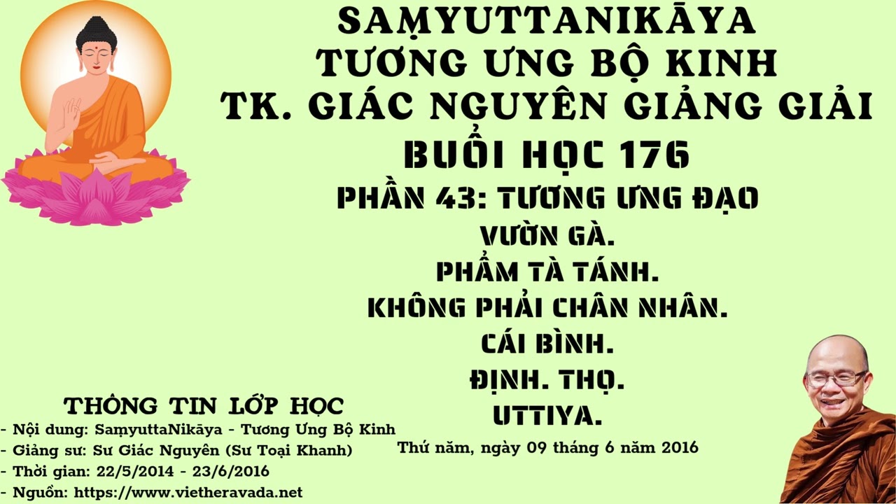 BUỔI 176 | TƯƠNG ƯNG BỘ KINH 2014-2016 | SƯ GIÁC NGUYÊN - PHẬT GIÁO NGUYÊN THỦY THERAVĀDA