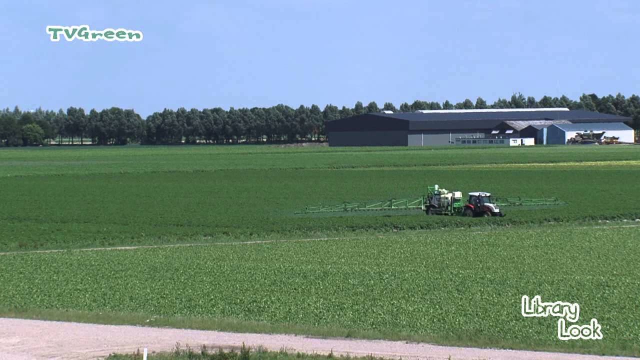 Noordoostpolder - Akkerbouw - Crop Protection