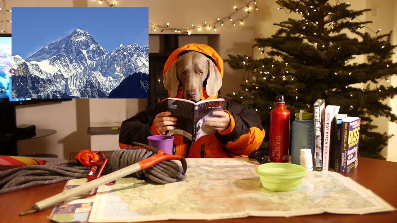 Altitude Sickness