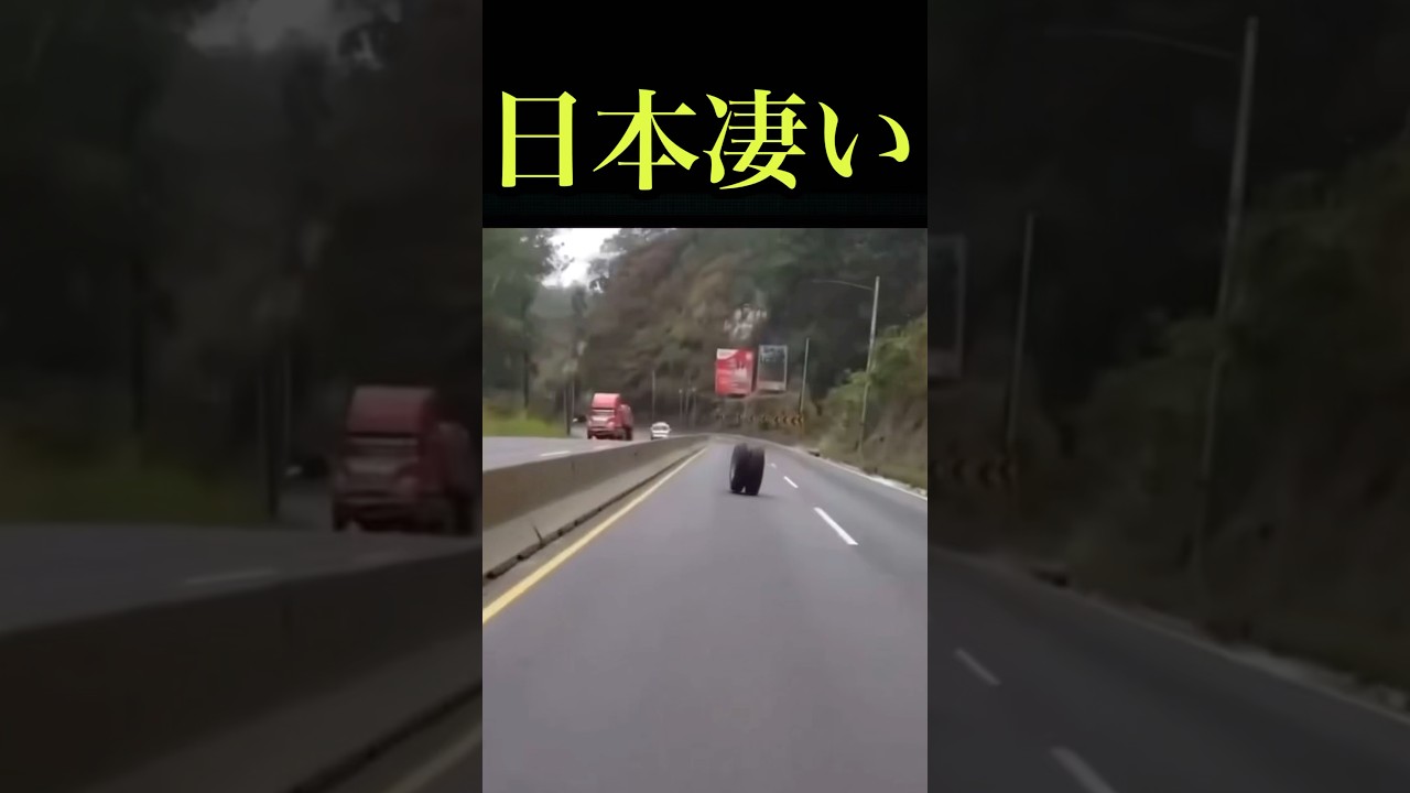 世界で1億再生した日本の〇〇がヤバすぎる #shorts