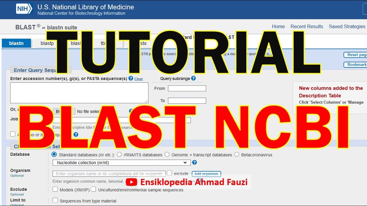 Tutorial Cara Melakukan BLAST NCBI (Basic Local Alignment Search Tool)