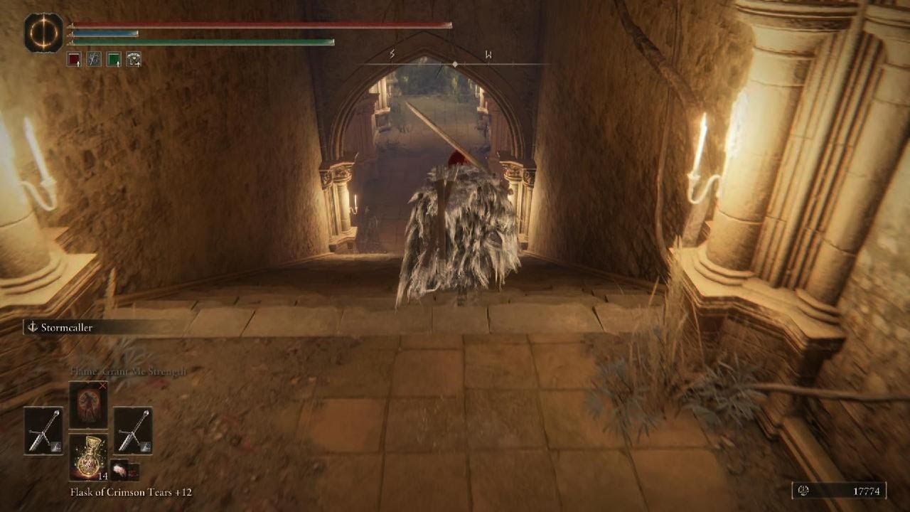 Elden Ring Malenia Attempts