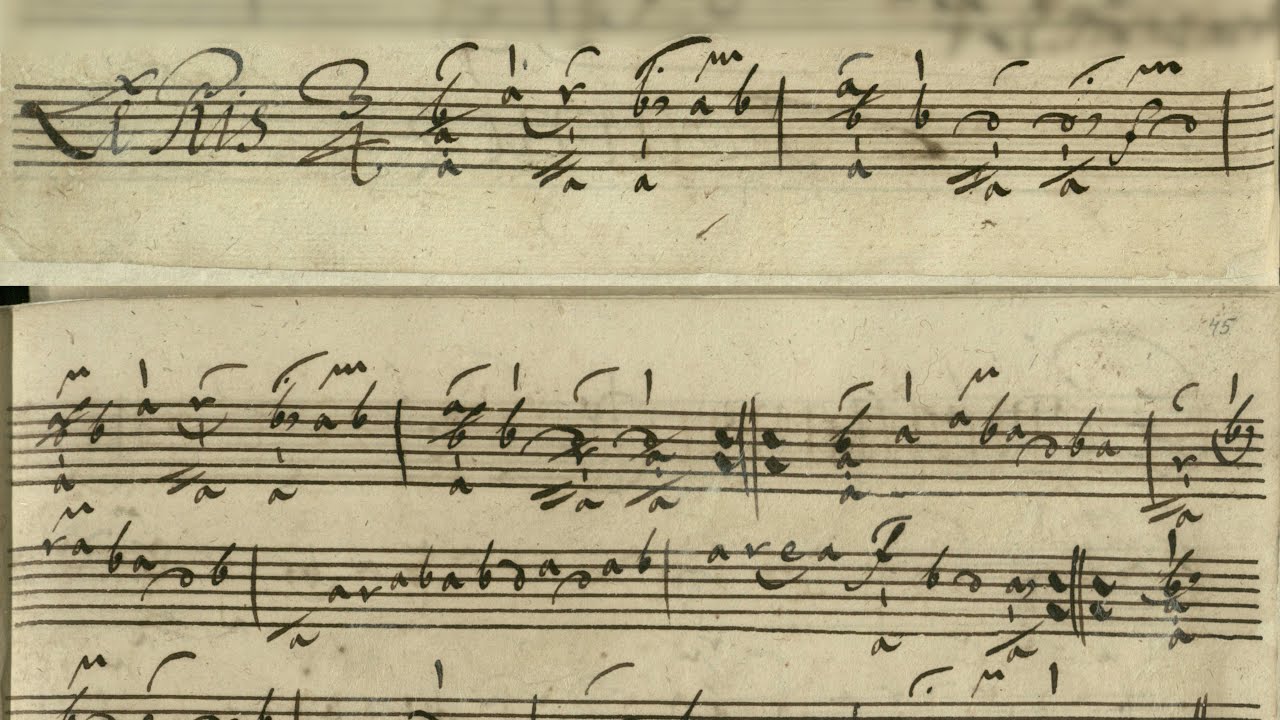G. Ph. Telemann "Partie Polonoise" in B flat Major - Le Ris - 1st lute