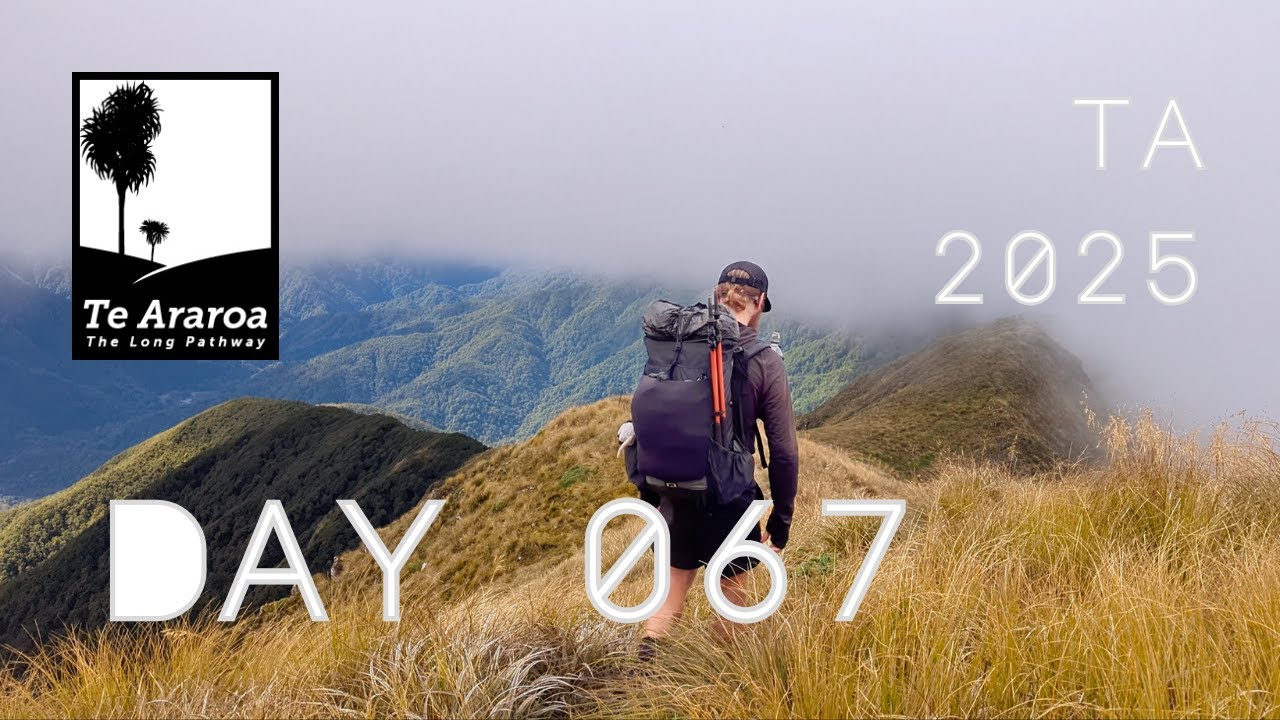 День 067 - Хребет Тараруа \ Хижина Вайтеваэваэ \ Гора Кроуфорд \ Хижина Николс - Те Арароа NOBO 2025