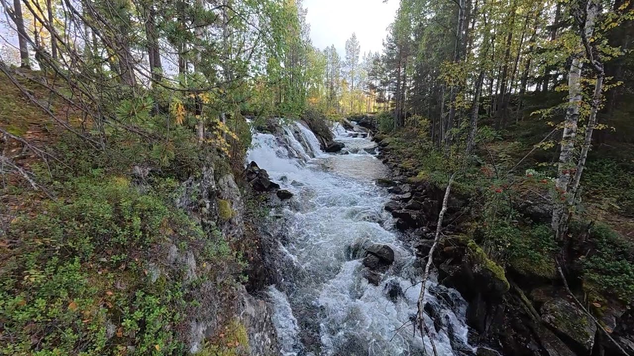 По Карелии и Кольскому осенью - Часть 6. Нольозеро, Винча, Кукса, Челозеро