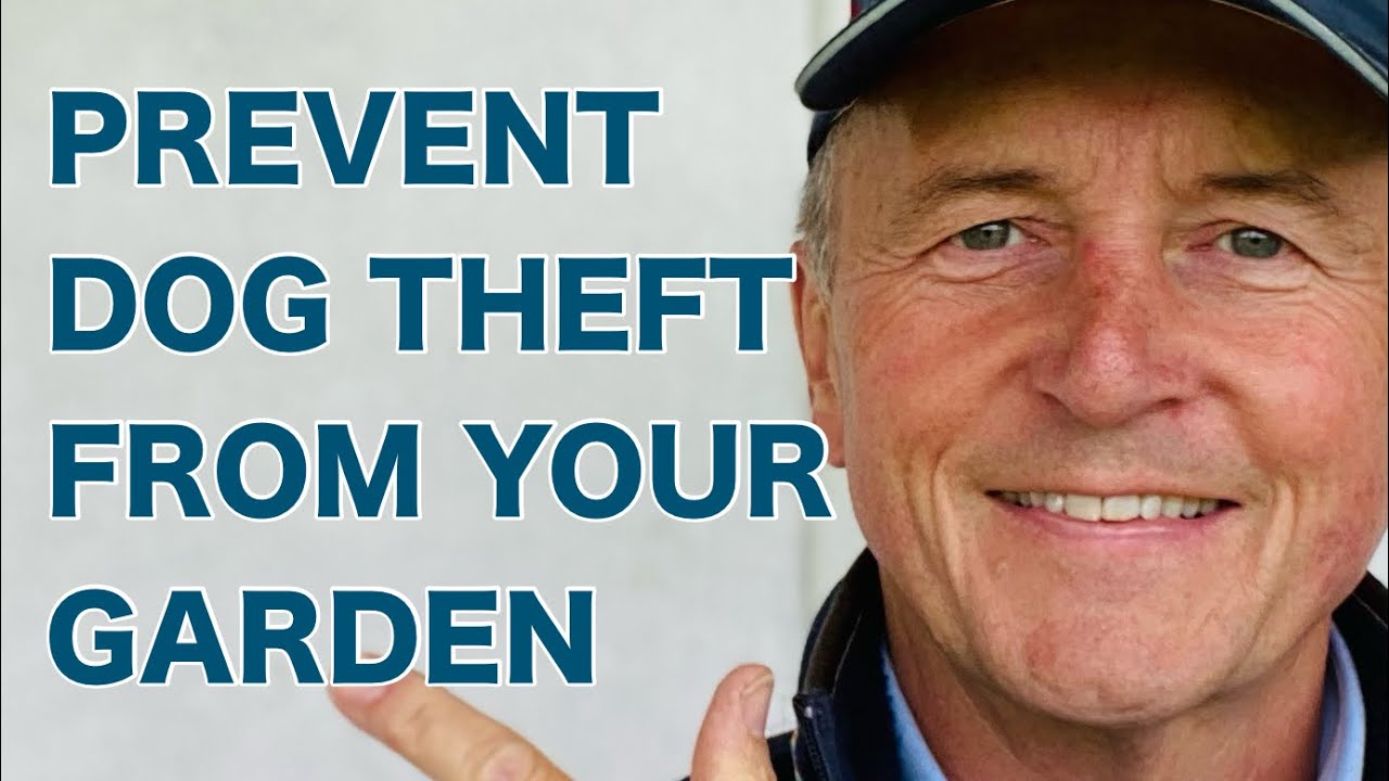 Top Tips Preventing Dog Theft from your Garden from Colin Butcher The Pet Detective UKPD