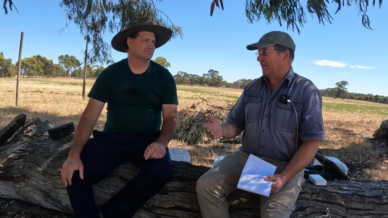A chat under a gumtree about how Brookdale farm started.