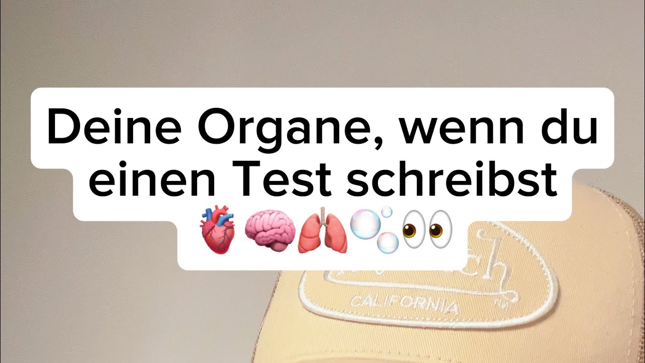 Deine Organe, wenn du einen Test schreibst 🫁🧠😭