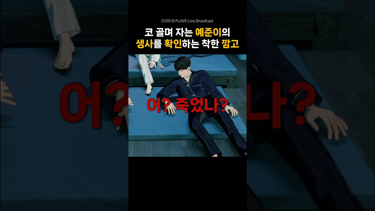 예라인 깜고는 잠자는 수장님 생사도 확인해줌🐈&zwj;⬛🖤#플레이브 #하민