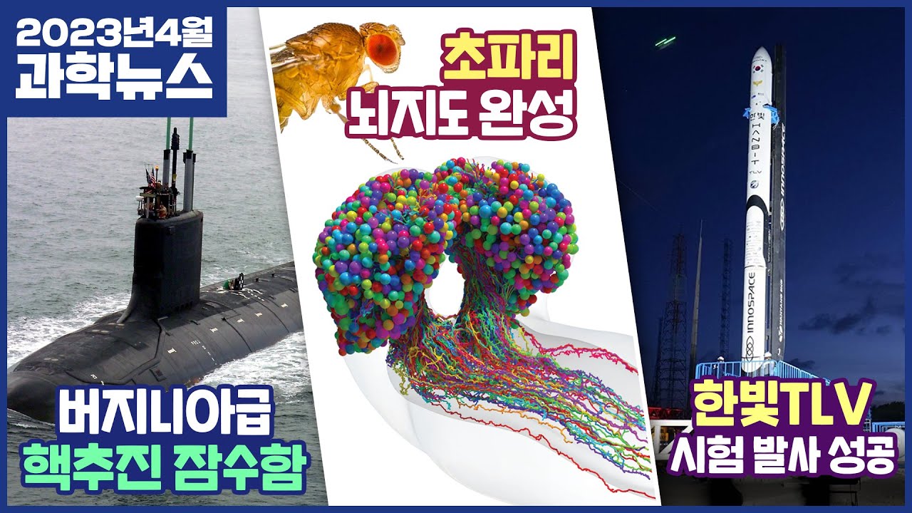 과학과사람들  [뉴스룸 S9E03] 버지니아급 잠수함, 한빛-TLV, 초파리 뇌지도