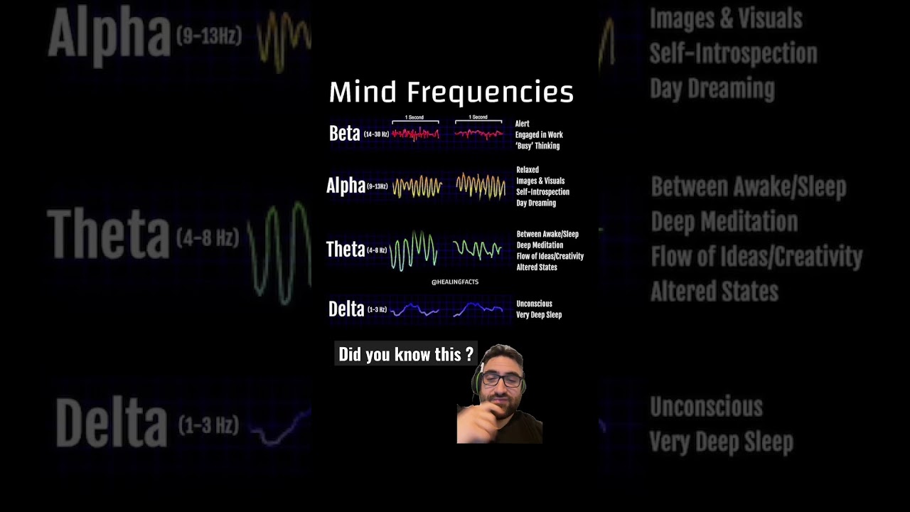 The mind frequencies #brainwaves #humanmind #meditation #alphawaves #betawaves
