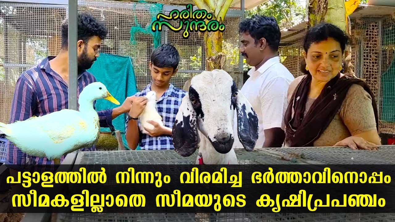 Watch how Seema earns huge income from her agricultural universe | Haritham Sundaram EP 351