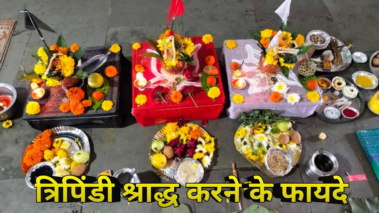 त्रिपिंडी श्राद्ध करने के फायदे|| #information #shradhpaksh2024 ||