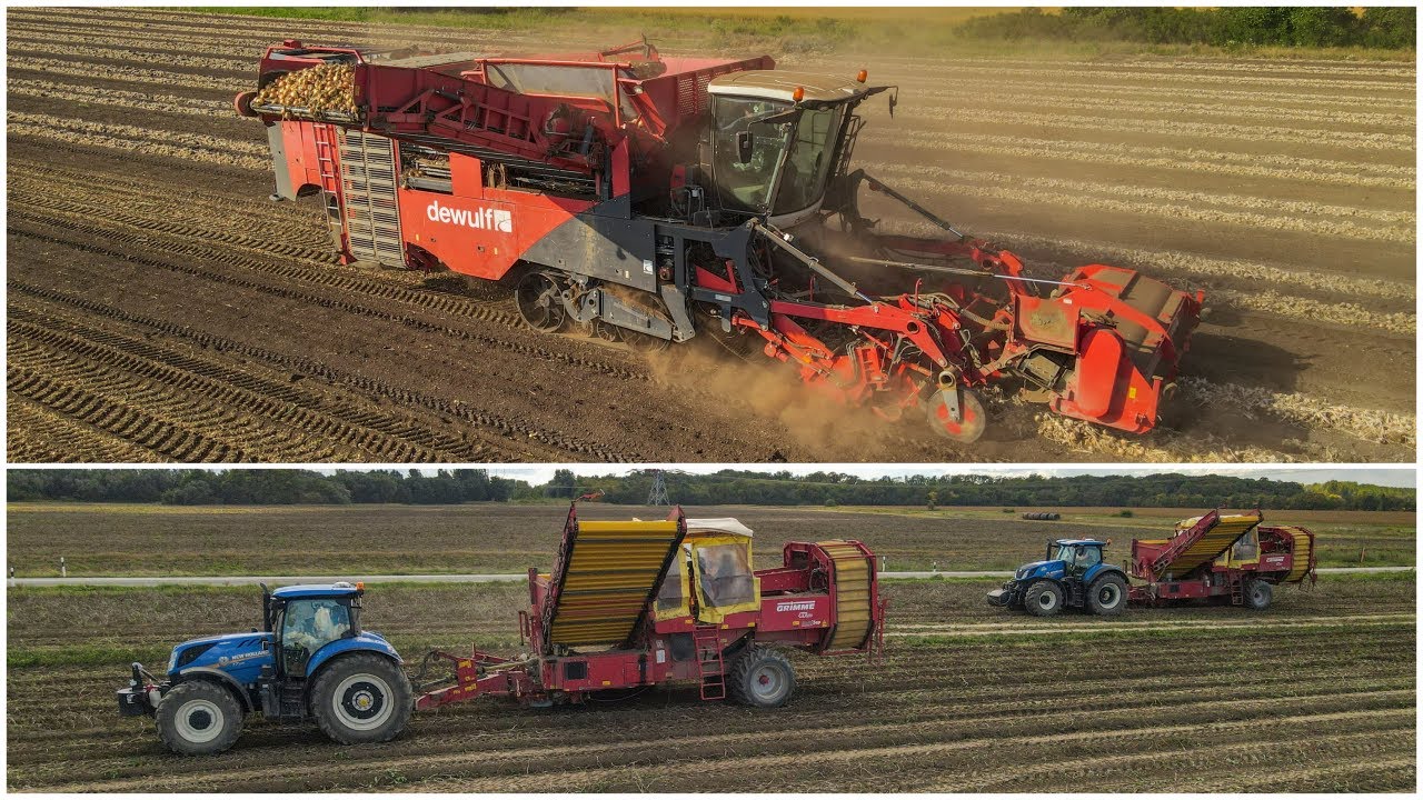 🟠2022 - 2x DEWULF, 5x GRIMME - zber cibule, mrkvy a zemiakov  AGROMAČAJ 🥔🥕🧅