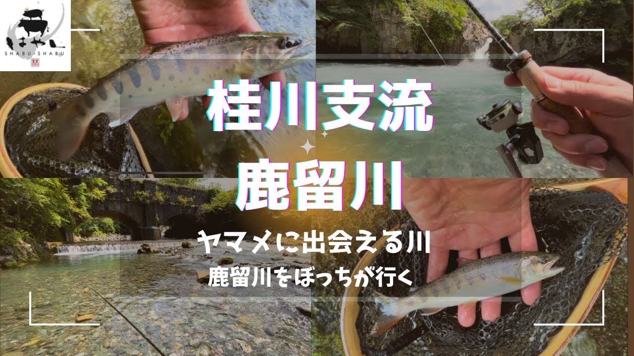 2023年7月9日