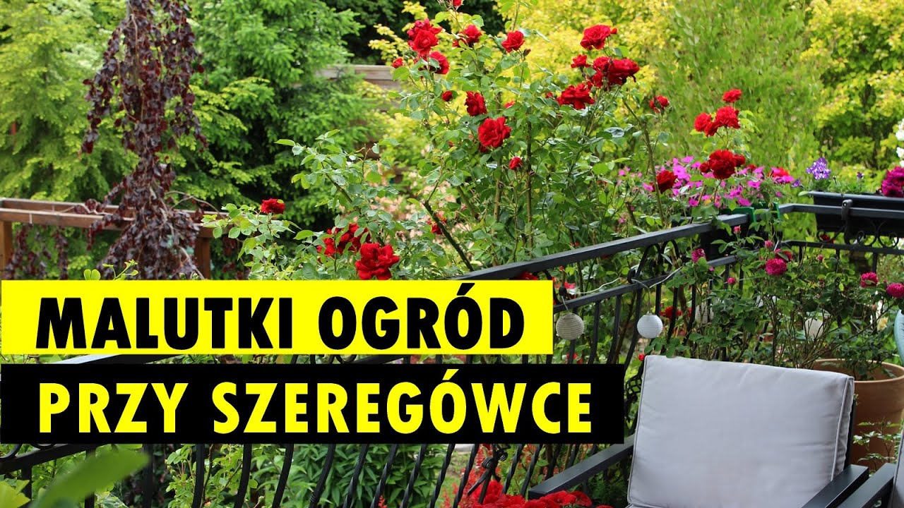 Niezwykłe 200 metrów kwadratowych. Udowadnia, że małe może być przepiękne i wyjątkowe