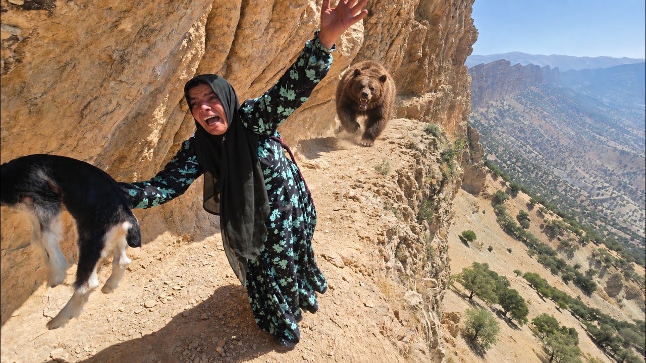 🐻🐑Breathtaking Moments: Kulthum's terrifying escape from a brown bear in the mountains! 😱🐻