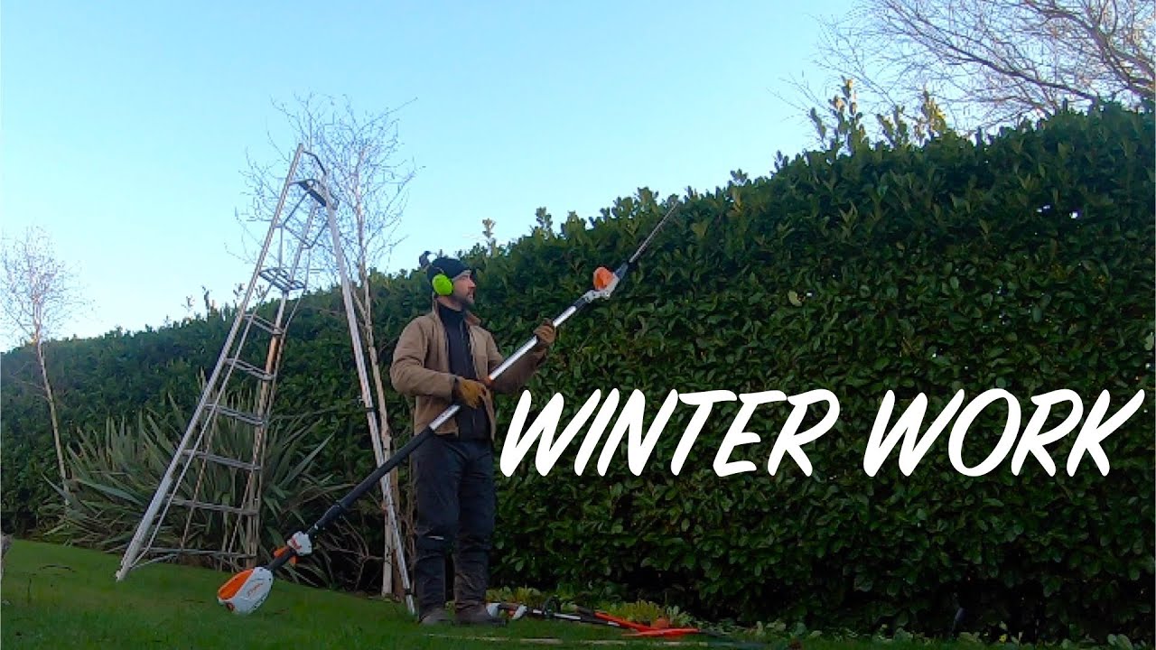 Wonderful Welsh Winter Weather  | Laurel Hedge | Stihl HLA 66 / 86
