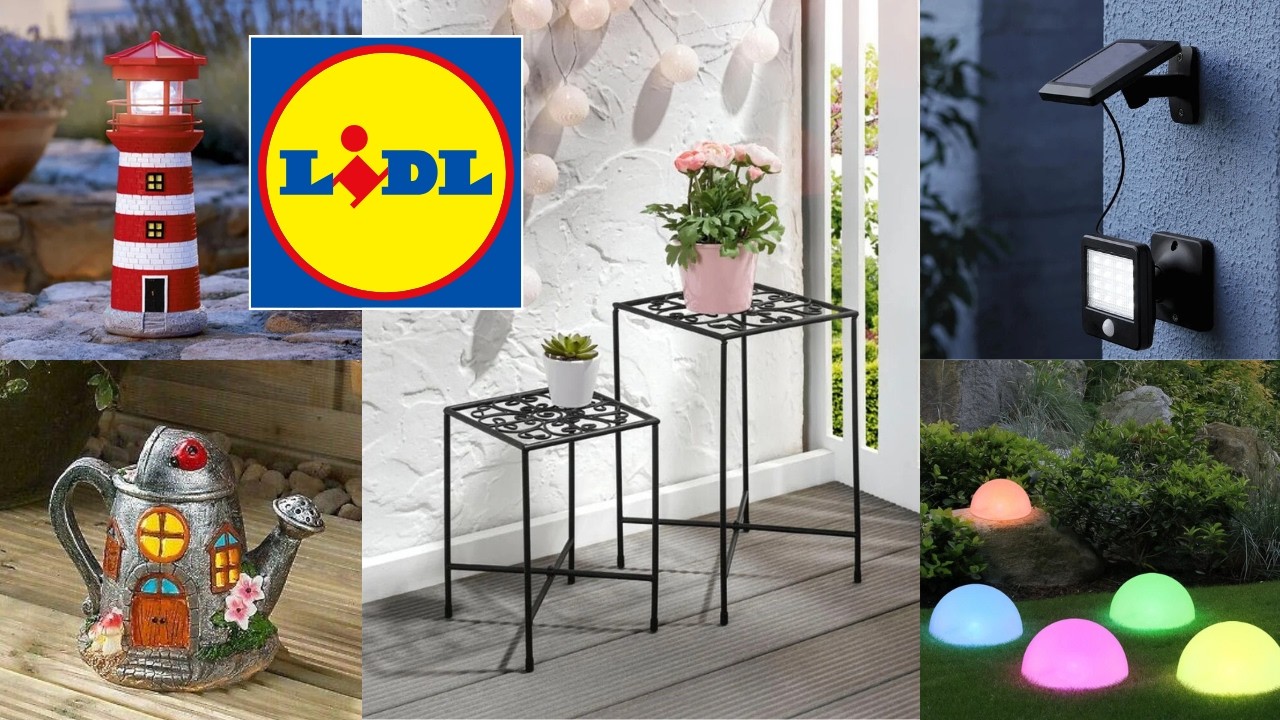 ❤️🥰 💙 ARRIVAGE LIDL 20 MARCH 2026