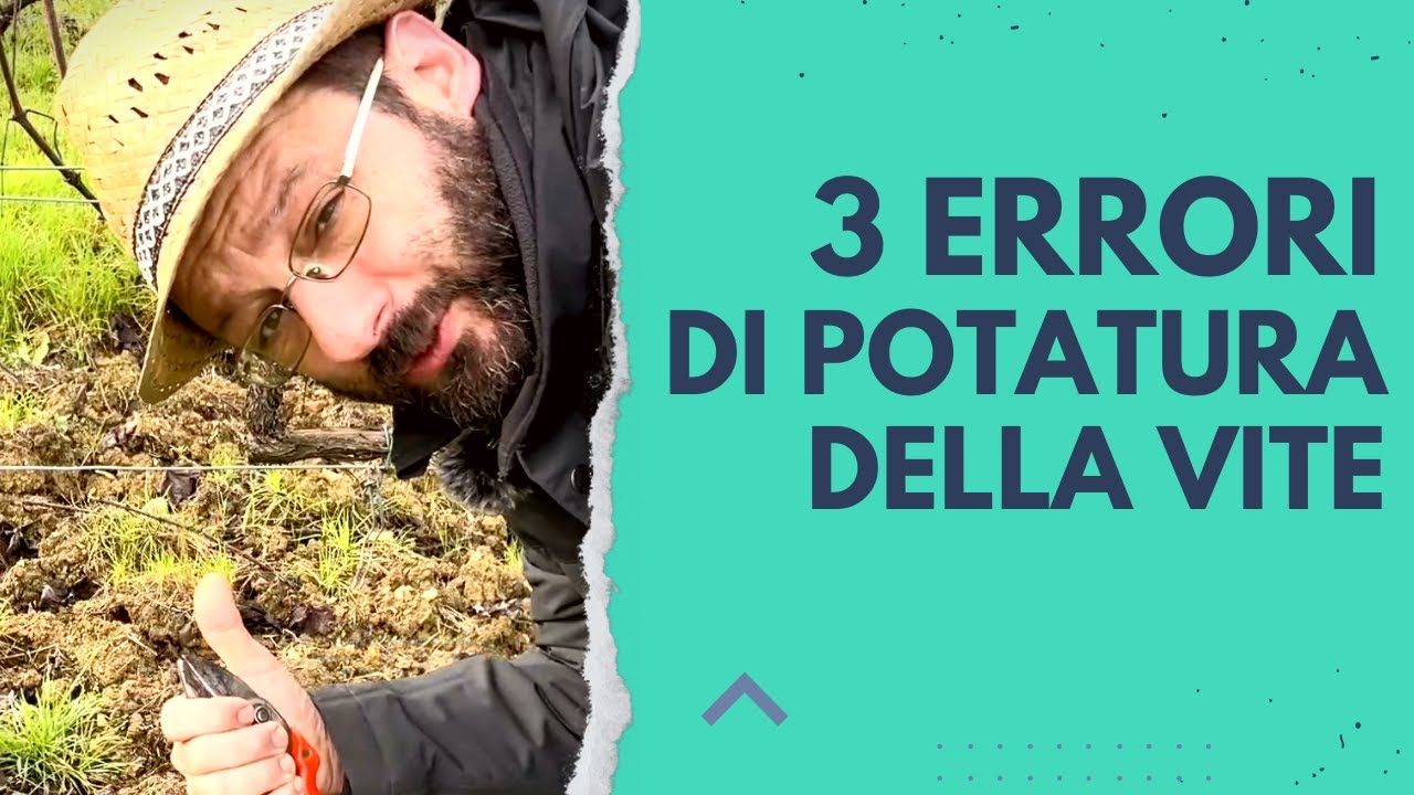 3 errori di potatura della vite!
