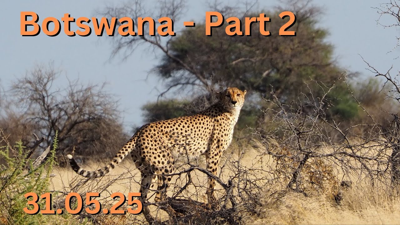 Botswana Part 2 - June'25