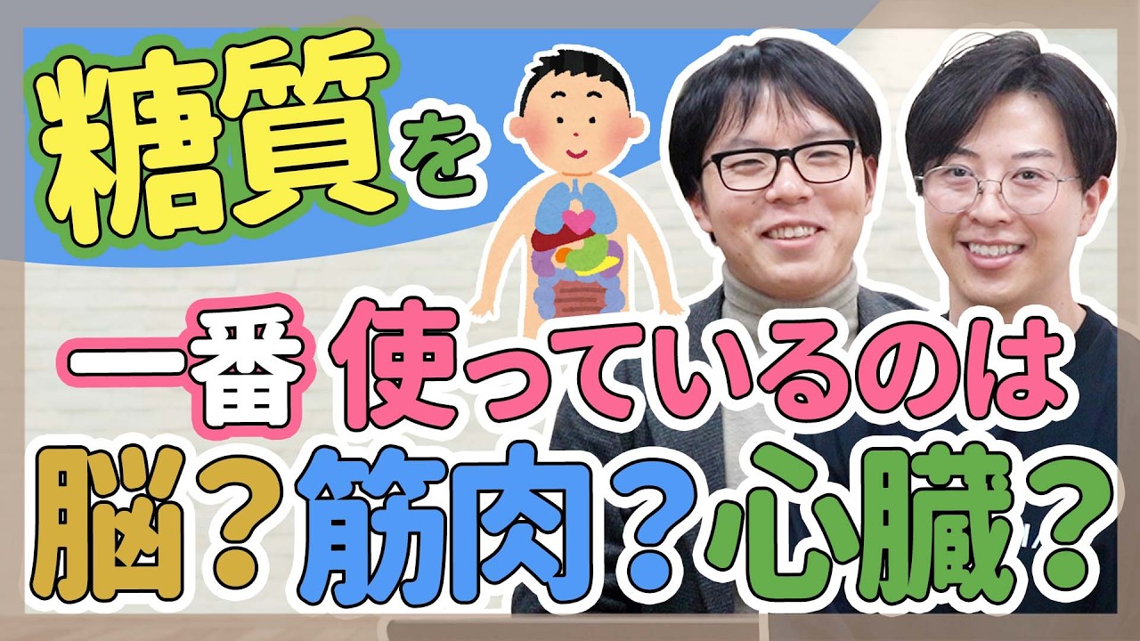 【食事】正しい食事で生き生きと働く_第1回【保育園/幼稚園】