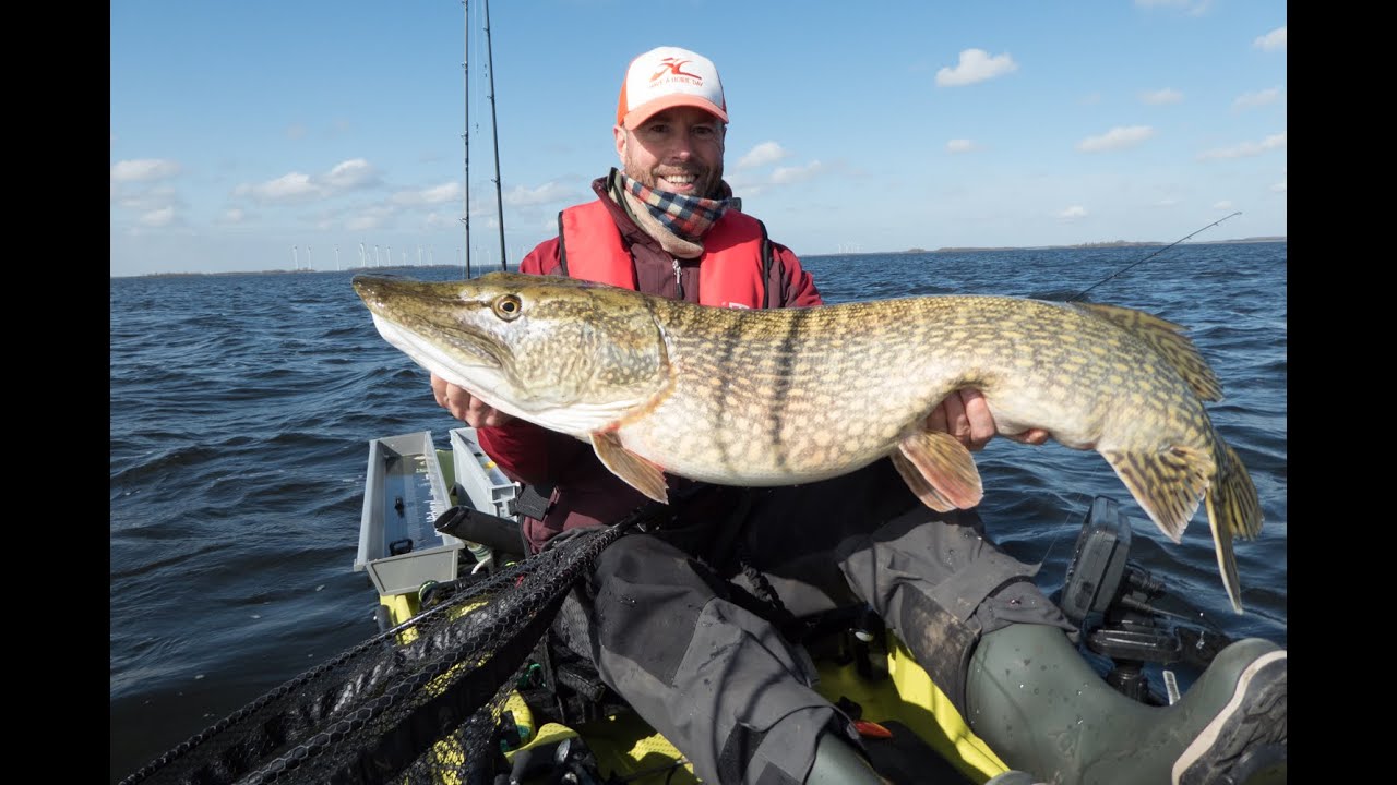 Compilatie Snoek, Meerval en Snoekbaars  enkele vangsten van afgelopen seizoen