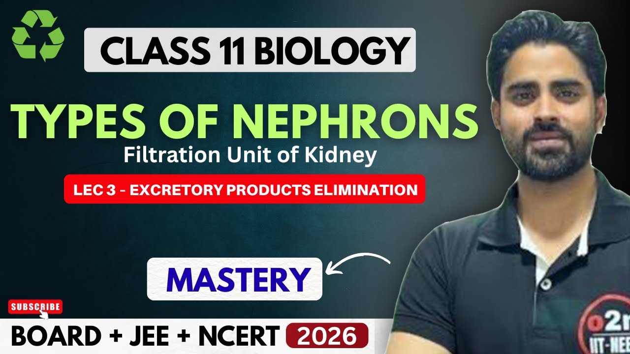 Types of Nephrons | Filtration Unit of Kidney | Excretory Products Lecture 3 NEET