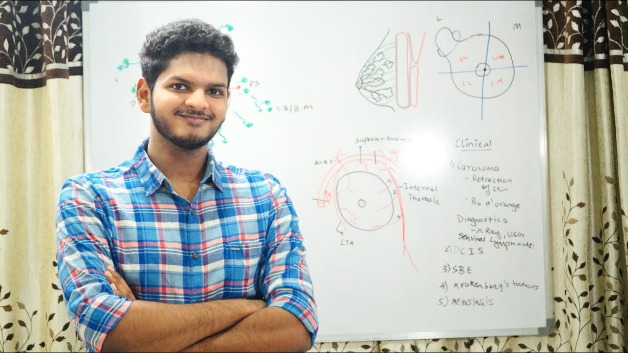 Discussion : The Mammary Gland | Anatomy & Clinical Aspect | Anuj Pachhel
