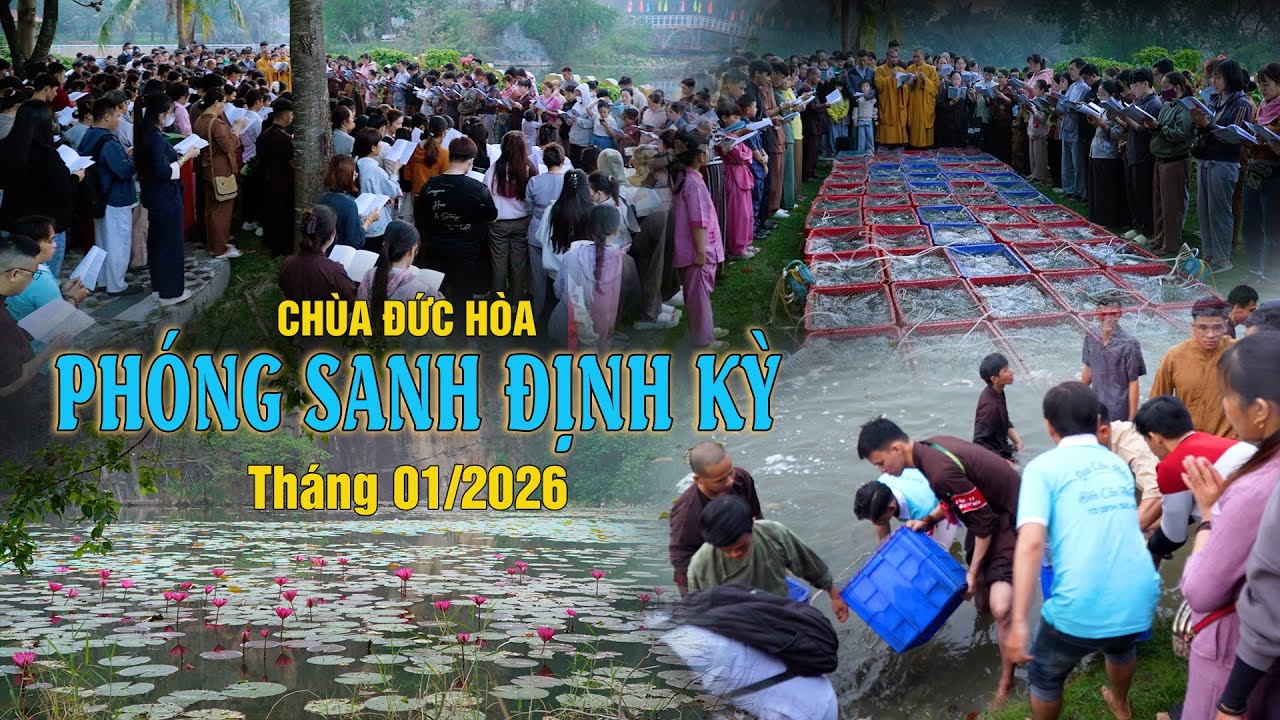 Phóng Sanh Cứu Mạng Đầu Năm Định Kỳ Tháng 01/2026| Chùa Đức Hòa [11.01.2026]