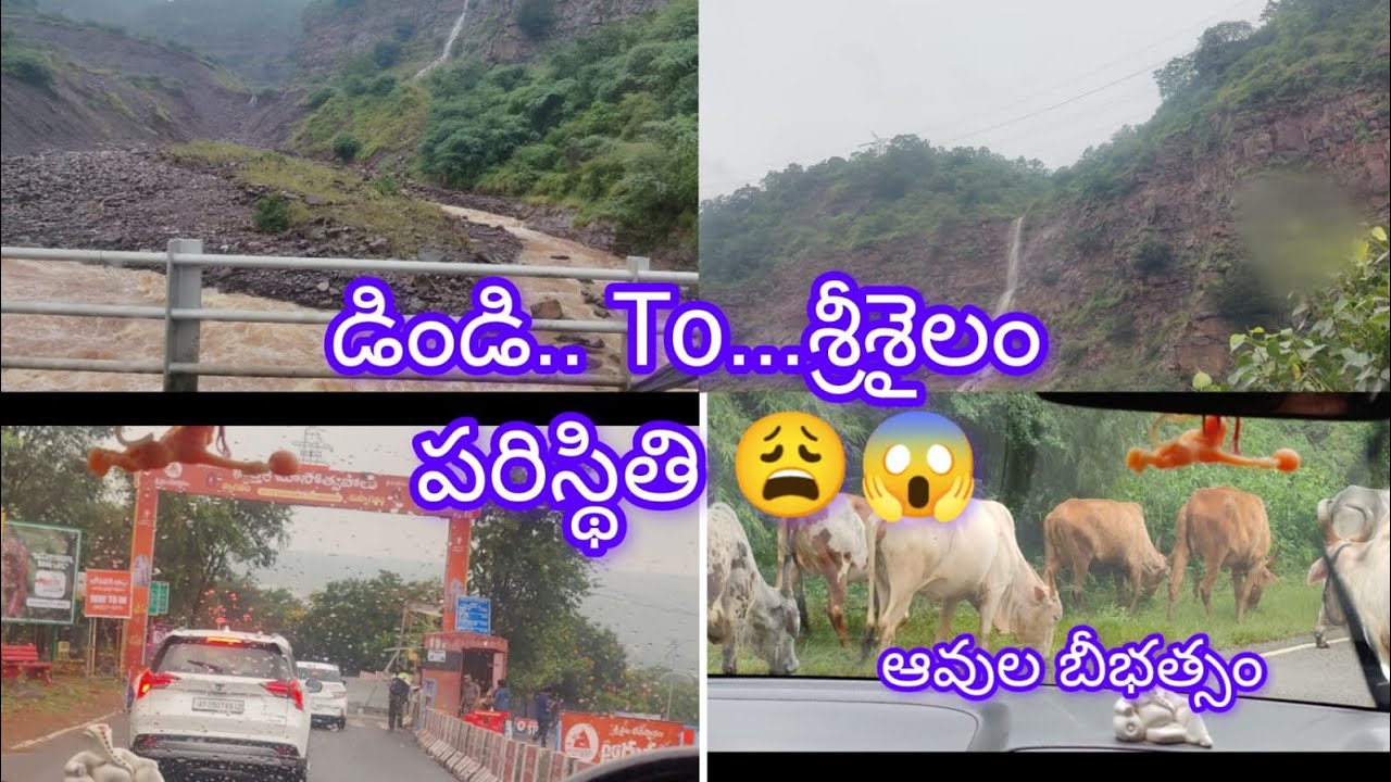 డిండి నుంచి శ్రీశైలం.. వరదల్లో నుంచి సేఫ్ గా శ్రీశైలం చేరుకున్నామా🙆‍♀️#ytvideoes #srisailam #cyclone