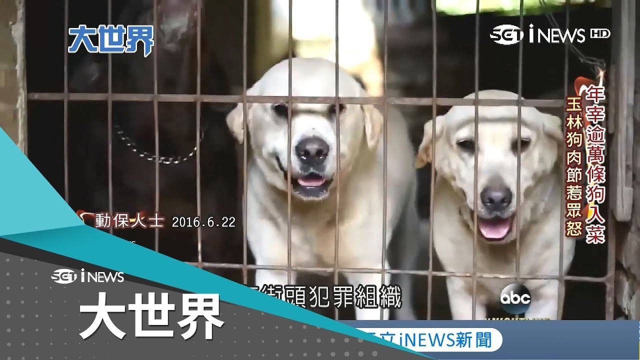 年吃破萬狗！中國廣西