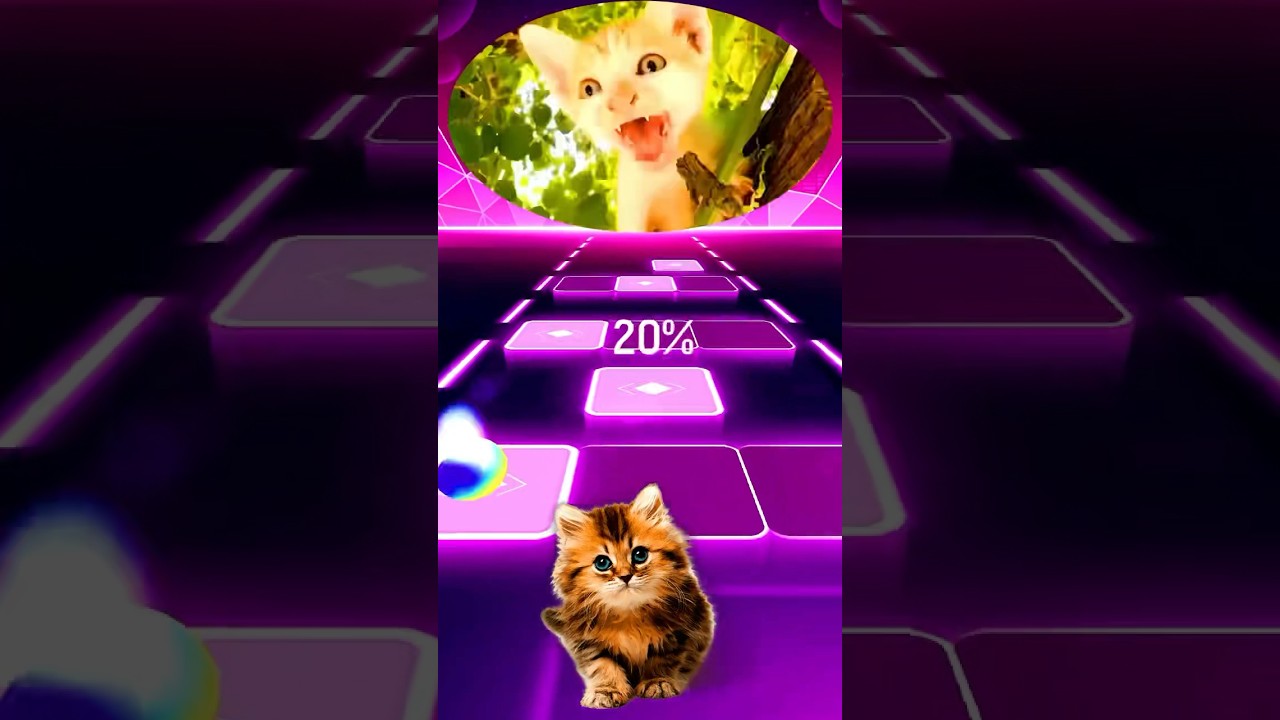 Cute Cat X Coffin dance Part 236 | Tiles Hop 
