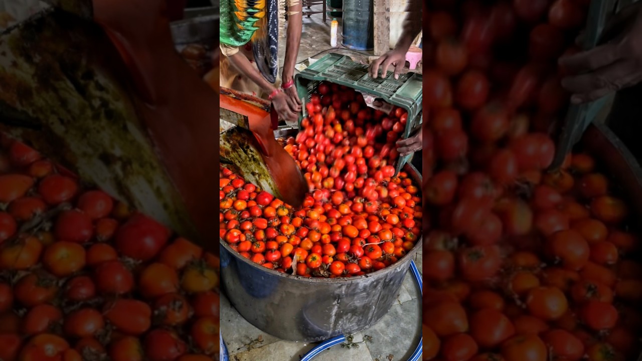देखिए फैक्ट्री में कैसे बनता है Tomato Ketchup🍅🍅 Indian Street Food | Uttar Pradesh | Food Factory