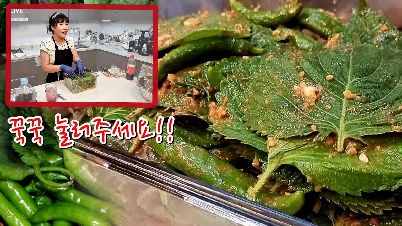 🔴처음 보는 분도 계시네요!! 된장으로  깻잎장아찌, 고추장아찌【아래 