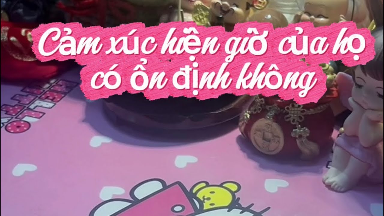 Cảm xúc hiện giờ của họ có ổn định ko