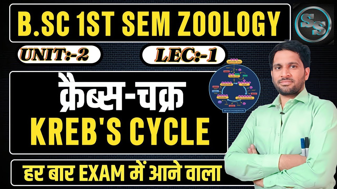 Krebs Cycle | Krebs Cycle Bsc 1st Year | Krebs Cycle Trick | Bsc 1st Sem Zoology