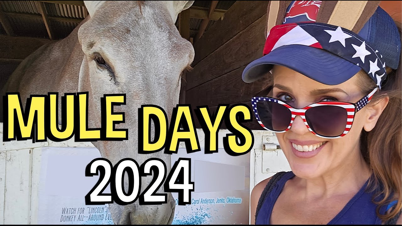Celebrating Mule Days in the Beautiful Eastern Sierra Town of Bishop, CA