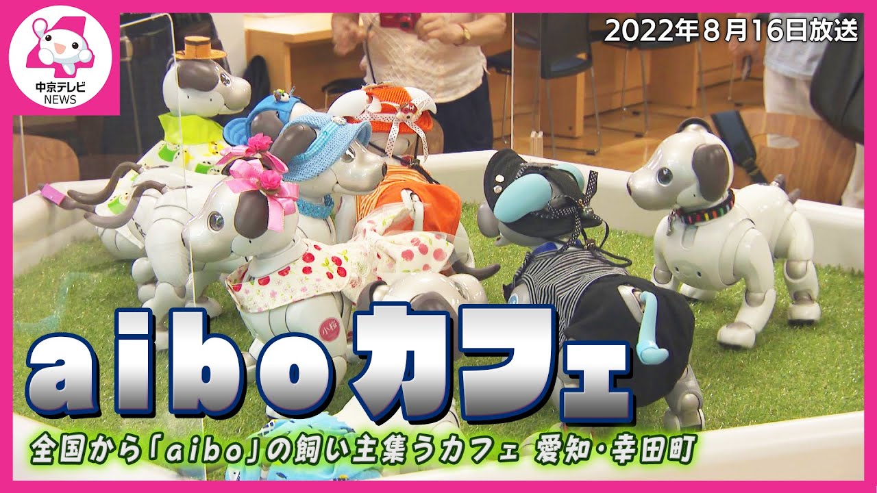 全国から飼い主集うカフェ　溺愛するペットは「aibo」　愛知・幸田町