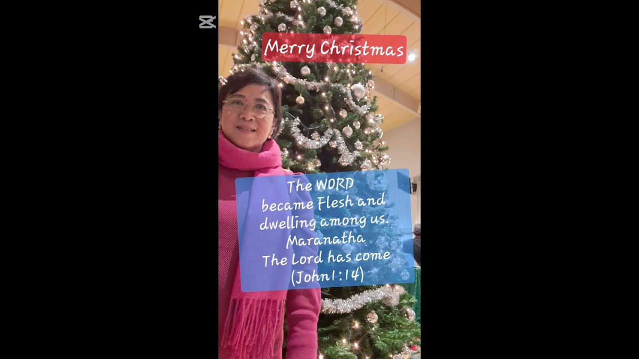 Christmas and New Year 2025-2026